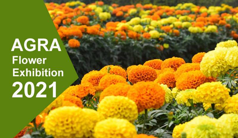 Agra Flower Exhibition 2021