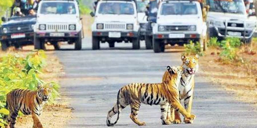 Jim Corbett National Park