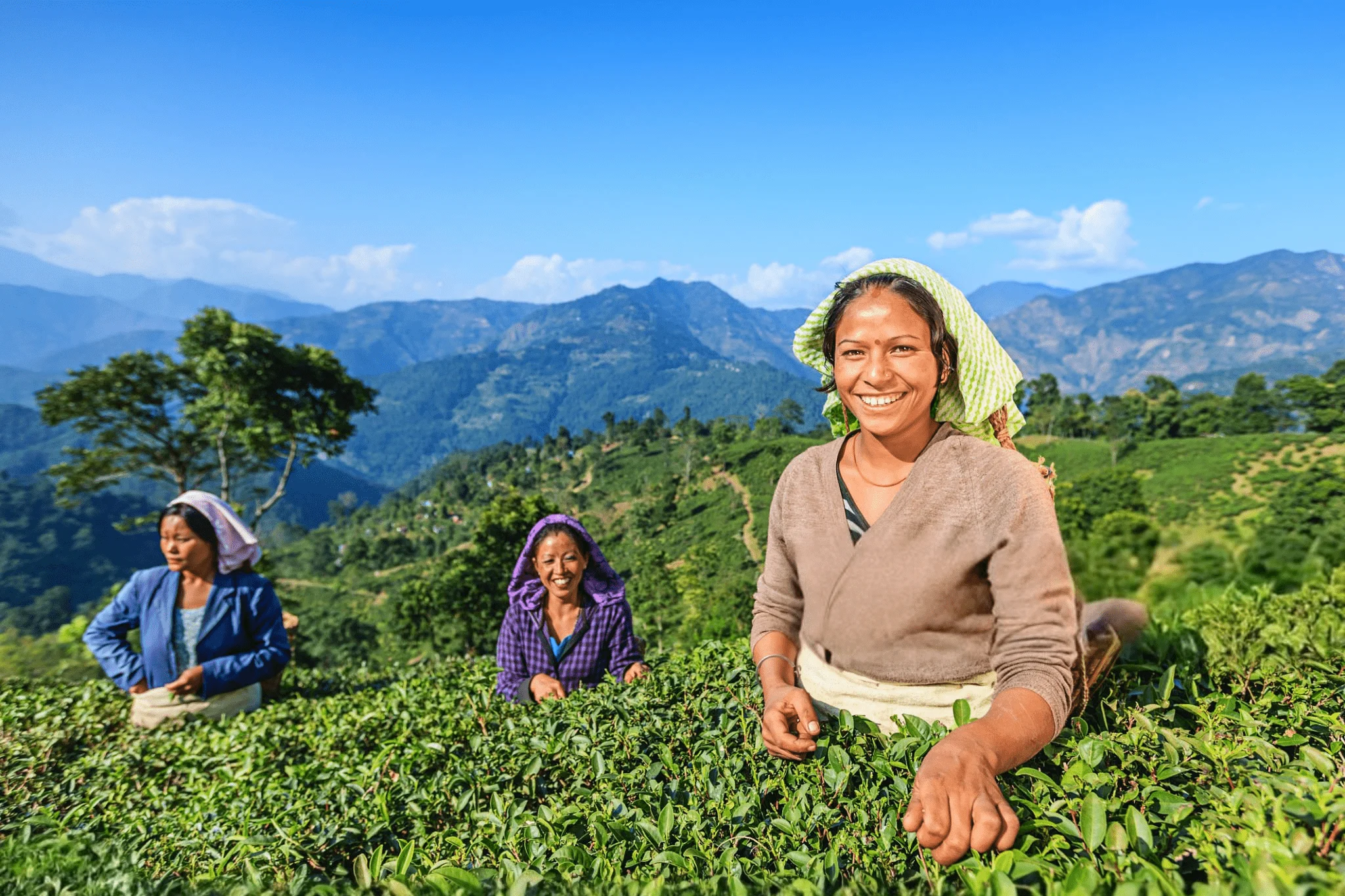 Darjeeling