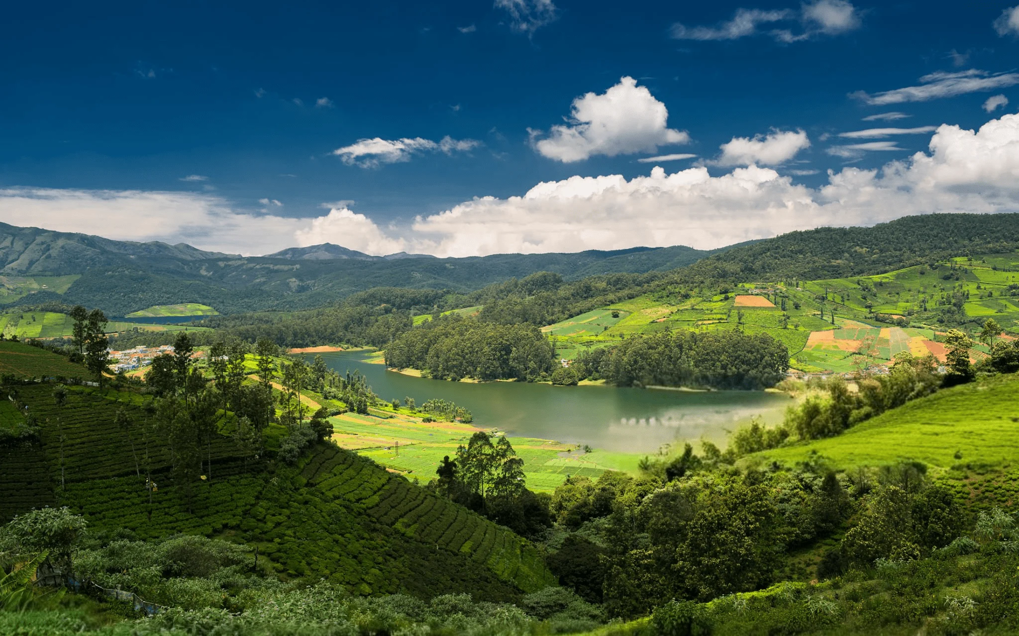 Ooty, Tamil Nadu