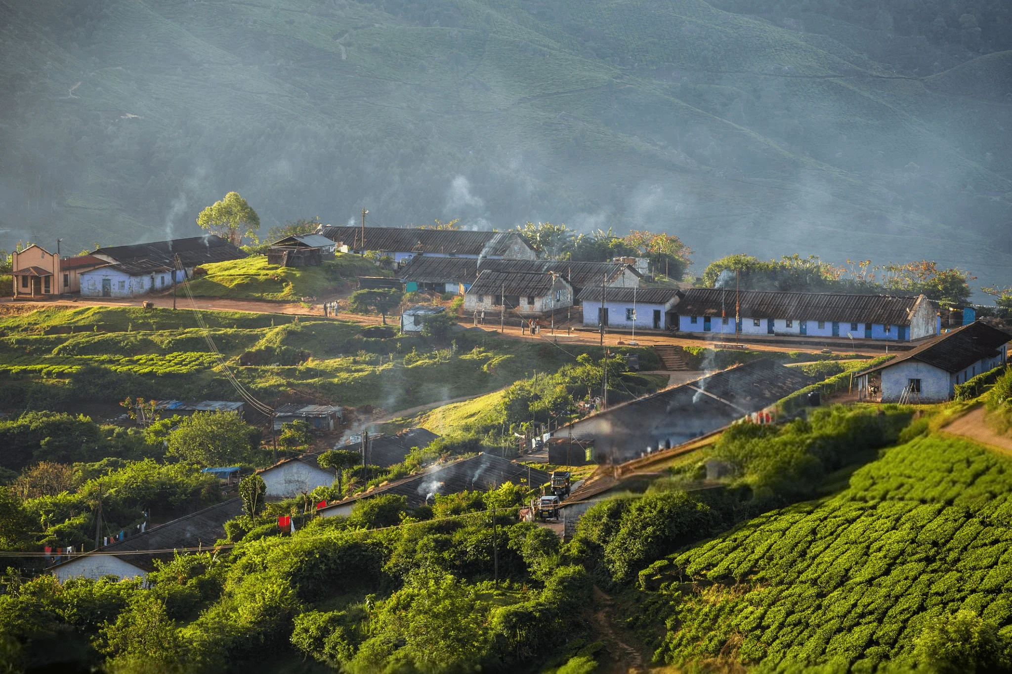 Munnar, Kerala